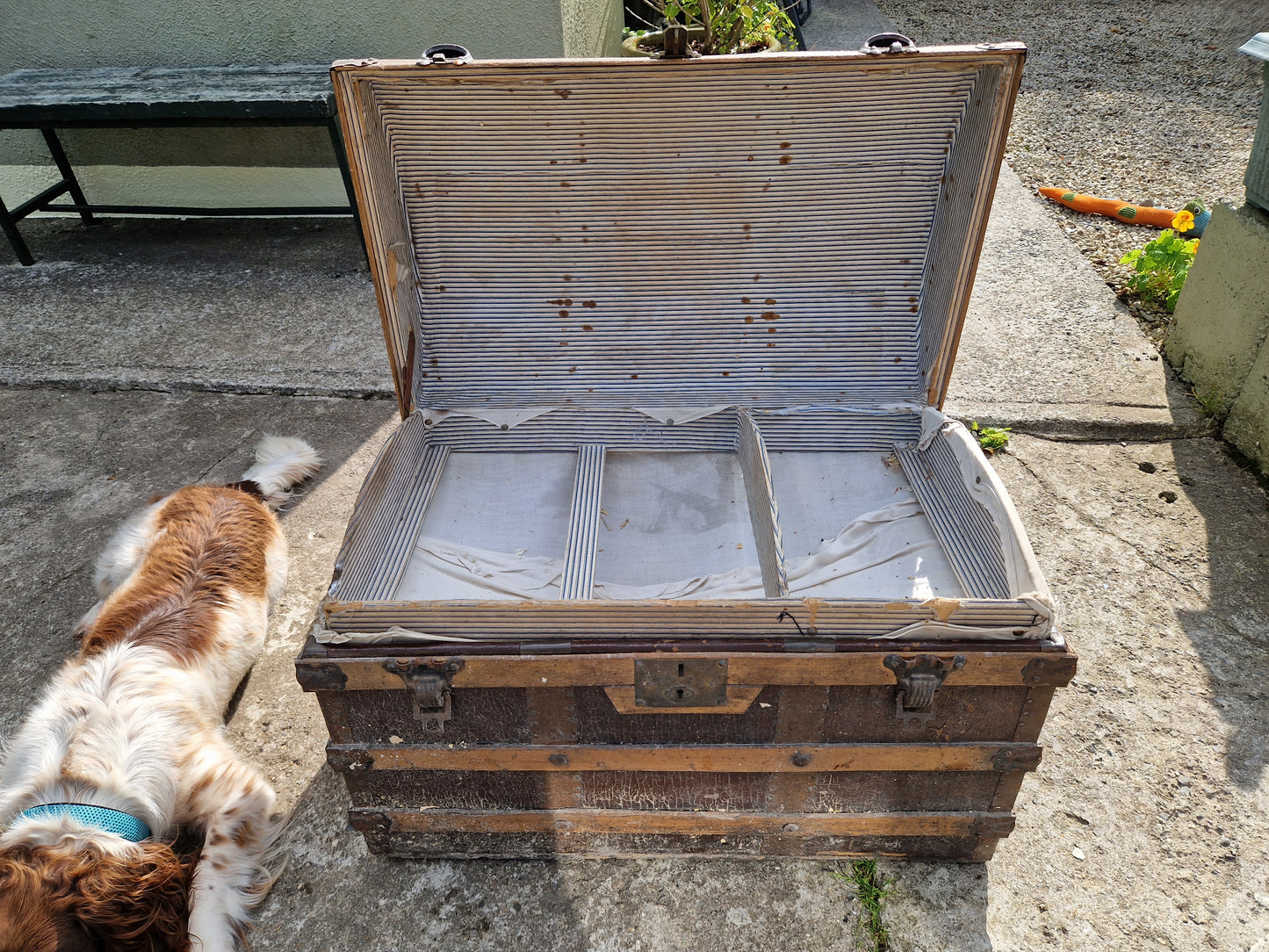 25% off Antique Steamer Trunk