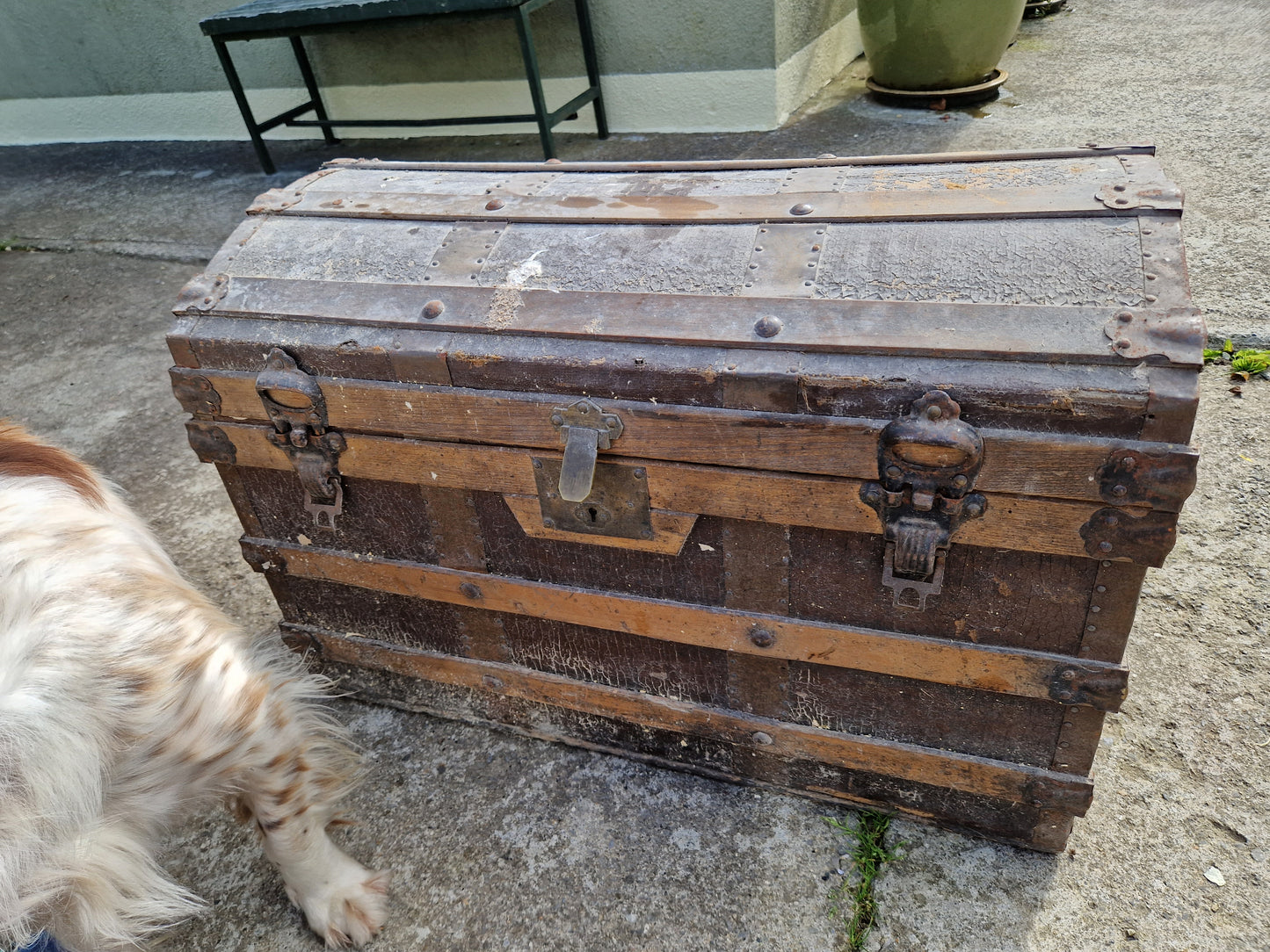 25% off Antique Steamer Trunk